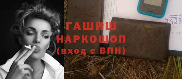 индика Абинск