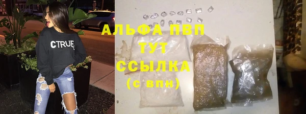 индика Абинск
