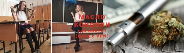 индика Абинск