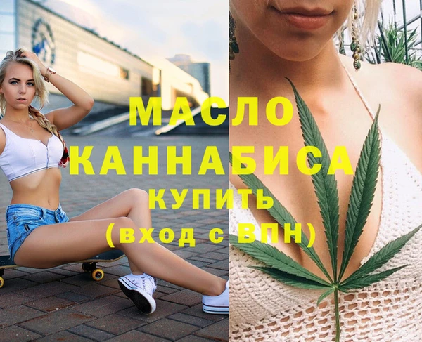 индика Абинск