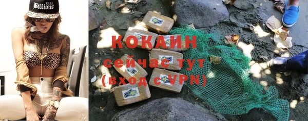 индика Абинск
