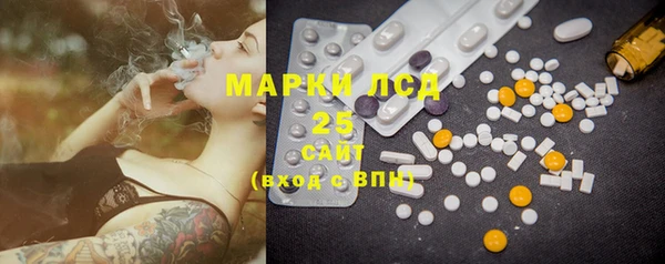 индика Абинск