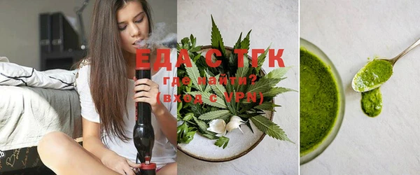 индика Абинск