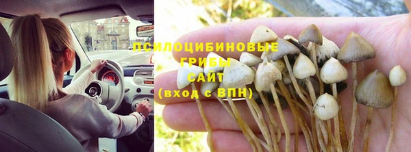 индика Абинск