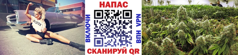 Марихуана гибрид  Саратов 
